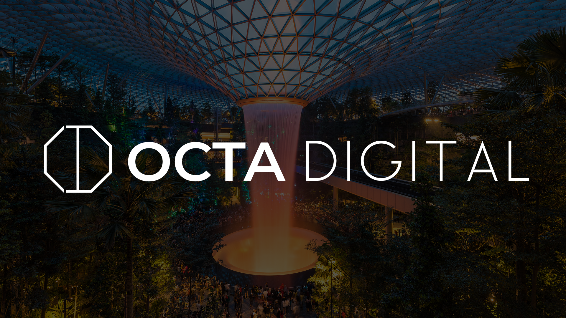 Octa.net Web Development Octa Digital - Web Design & Digital Marketing